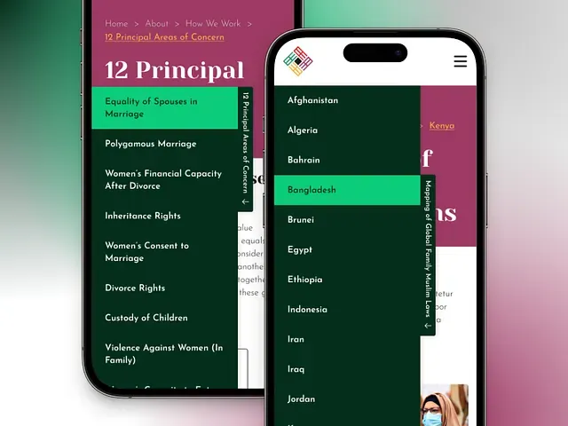 The 12 principal areas of concern, as a side menu on desktop and a country list on mobile.